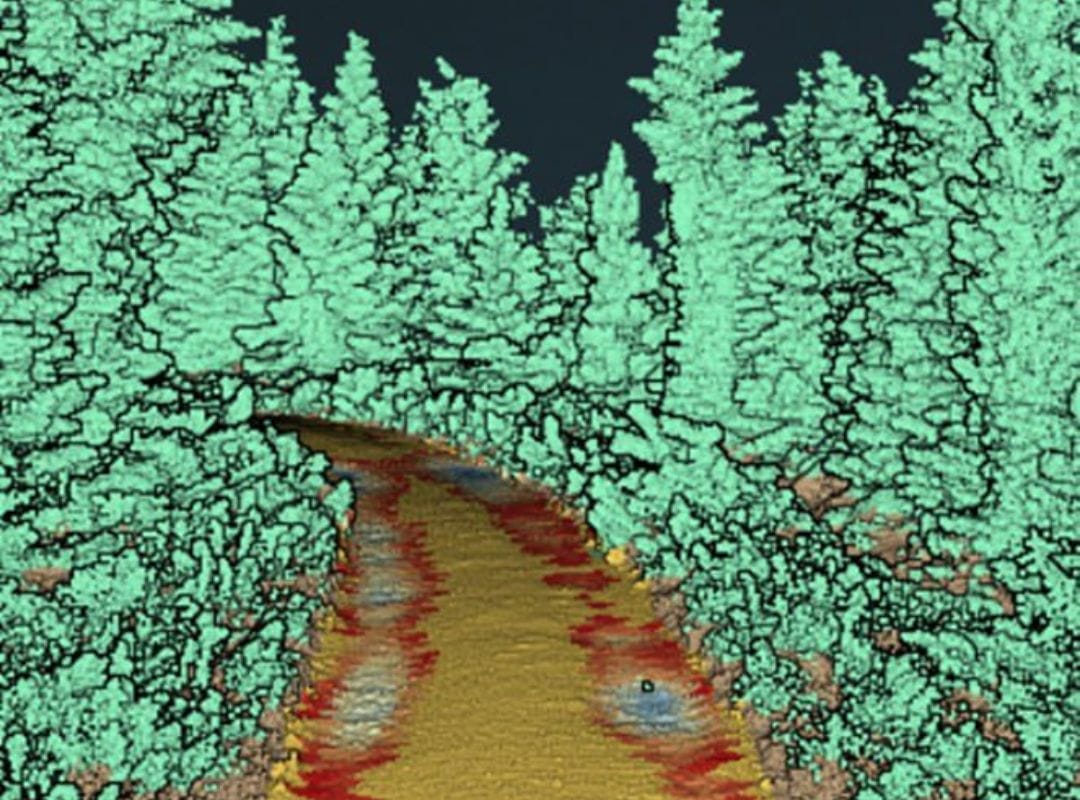 Forest and Land Digital Mapping - Digiflec