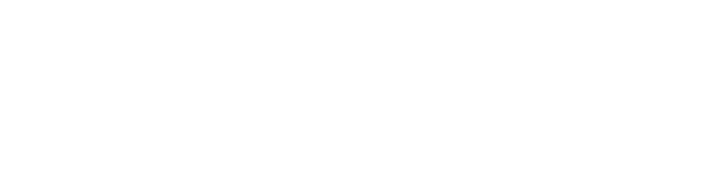 Digiflec Logo